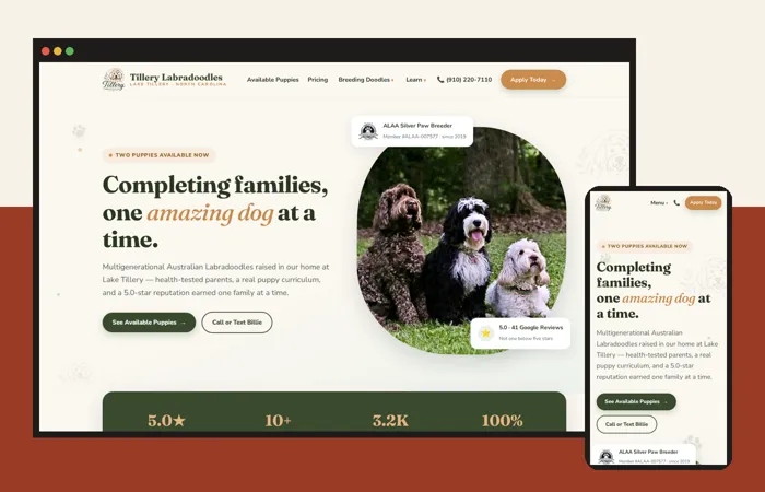 Tillery Labradoodles website on desktop and phone